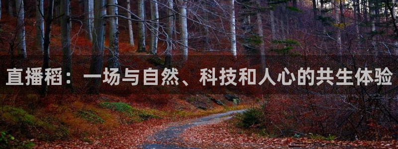 河豚体育直播app官网下载：直播稻：一场与自然、科技和人心的共生体验