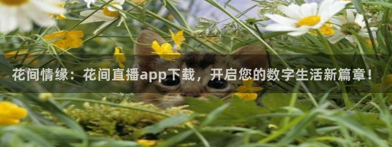 河豚体育篮球直播：花间情缘：花间直播app下载，开启您的数字生活新篇章！